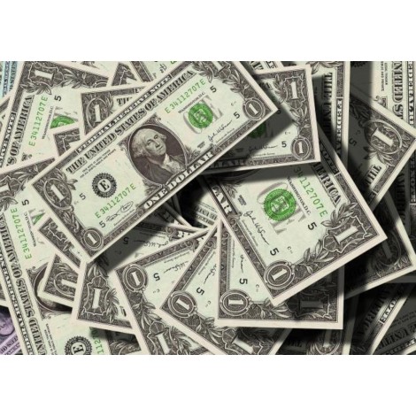 Sahte Düğün Parası 1 Dolar (50'li Paket)