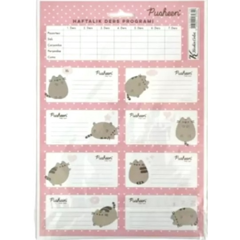 Keskin Color Pusheen 3'lü Ders Programlı Etiket